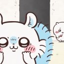 모몽가 이미지
