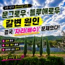 죽어주는 이야기 | 문그로우·블루애로우 죽어가는 이유… 결국 ‘자리(배수)’ 문제였습니다