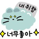 카페디딤돌 이미지