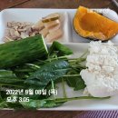 구본강 다이어트 이미지