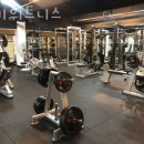 럭키 헬스 이미지