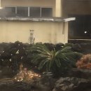 빌라배알로 이미지