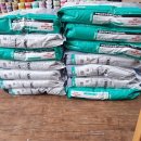 멍멍이랑 호호아줌마 이미지