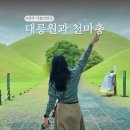 경북드론고 | APEC 경주 역사여행! 경주 천마총 대릉원 포토존