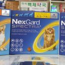 마석백제약국 이미지