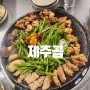 제주곱 이미지