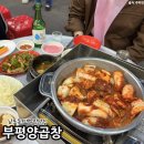 부평양곱창Ⅱ | 남포동 야장 술집 양곱창 맛집 부평양곱창 주차 웨이팅 후기