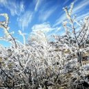 제주의 추억 이미지