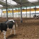 달무리목장 이미지