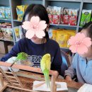 찐소 이미지