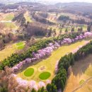 나라골프클럽 이미지