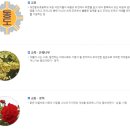 대전동도초등학교 이미지