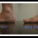 비오스짐 이미지