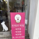 트리밍101 이미지