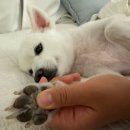 키보스불고기 | [공지] 6월 넷째주 일상 자타공인 언럭키걸의 불운은 쉽게 사라지는게 아니거든