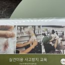 원당애견미용 이미지