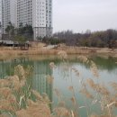 오목호수공원 이미지