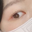 어텀브로우 | [속눈썹] 전주 신시가지 속눈썹펌 ‘어텀브로우‘ 추천