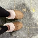 동구레 | [다이소 동광주점] 광주 두암동 크리스마스 소품 구경 / INFP 내향인 방울토마토 키트 구매 후기 🍅