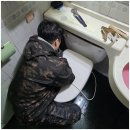 출장시민 구로하수구막힘, 젊은 청년들의 깔끔한 배관 작업 후기
