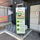 용봉동 노터치 세차 친환경 중성세제 사용하는 노터치자동세차 버블버블카워시