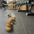 피티인거여 | 진접PT 홈짐 : 남양주 진접피티 헬스장 PT 내돈내산 솔직 후기