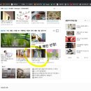 메인애드 이미지