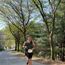 [ 대회 후기 ] 코리아 50K 20km GTNS 2차전에서 30위내 이름을 올려보고 싶습니다. 원교피티