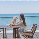 아침바다펜션 이미지