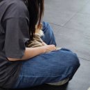 동탄중앙동물병원 | N년째 믿고 맡기는 동탄 동물병원 &#39;동탄중앙동물병원&#39; 추천