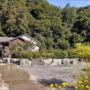 홍천군 남면 용수리 산아래 정남향 전원주택지 급매 253평 이미지