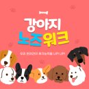 아망도그플레이스 이미지