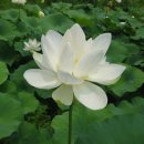 김철환 농장 이미지