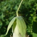 여름꽃농장 이미지