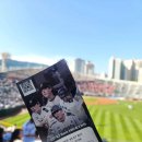 933 | 250628 롯데 vs KT 최악의 직관 후기 / 933 외야석 후기