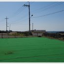 제주땅도집도OK공인중개사사무소 이미지