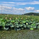 고구낚시터 이미지