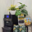 더스테이 132 이미지