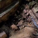 두루봉약수터 이미지