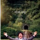 박하사탕 티스토리