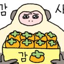태광두부명가 이미지