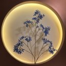 캠프브이알 (천안신부점) | [일상] 볕뉘