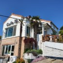 기장애견 이미지