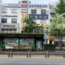 풀로그린 이미지