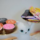 보문 스테이 풀빌라 이미지