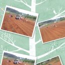 버들농장 이미지