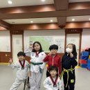 금광태권도 이미지