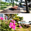 해비치나루 이미지