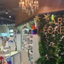 데생과 수채화 | 일산 미술학원 추천 🎨 성인취미미술 ‘아트포레스트’ 원데이클래스 후기