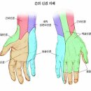 엄지PC 이미지